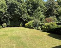 Blick in den Garten 